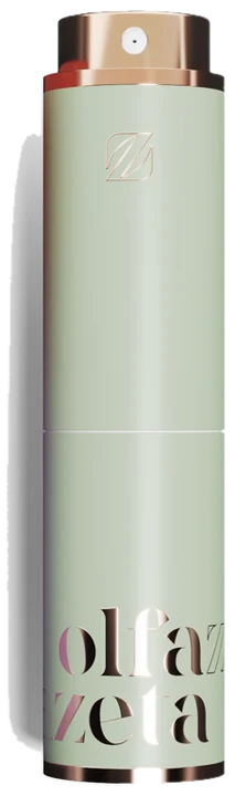 Taschenetui Grün