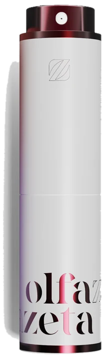 Taschenetui Taubengrau
